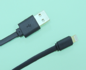 Apple Lightning to USB Cable